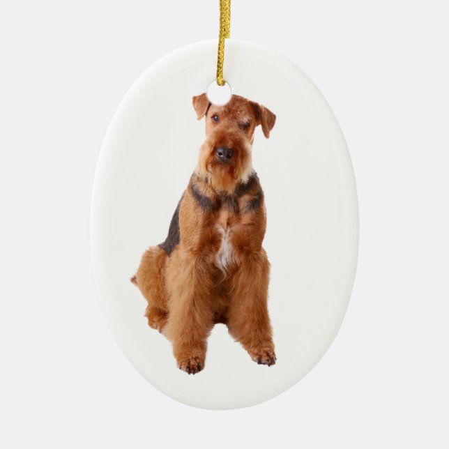 Adorno De Cerámica Airedale Terrier Ornament (Frente)