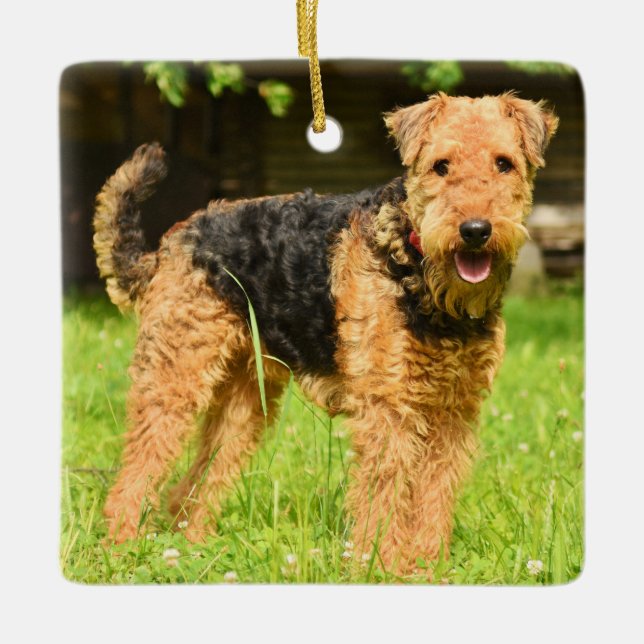 Adorno De Cerámica Airedale Terrier Perro Cachorro (Anverso)