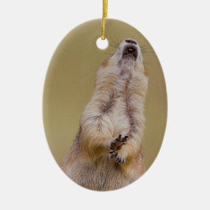 Adorno De Cerámica Alarma