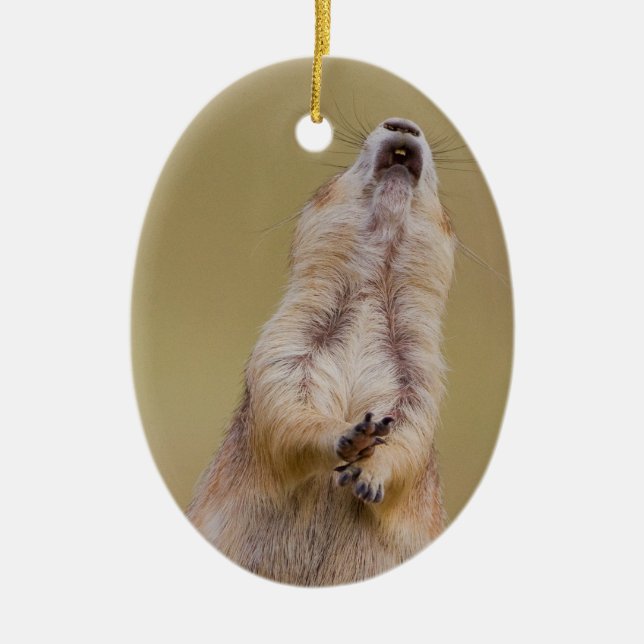 Adorno De Cerámica Alarma (Frente)