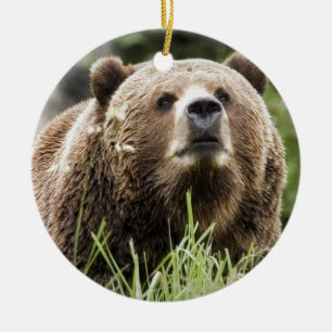 ADORNO DE CERÁMICA ALASKA