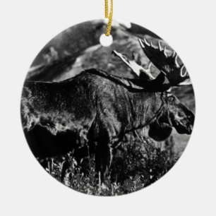 Adorno De Cerámica Alce macho vintage USA Alaska 1970