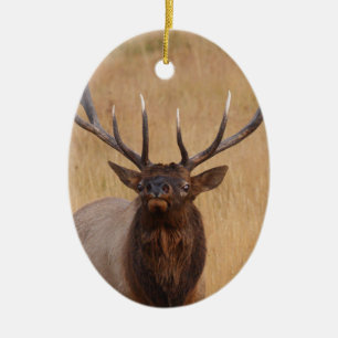 Adorno De Cerámica alces del toro