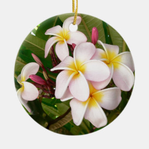 Adorno De Cerámica Aloha Flor de Frangipani Hawaiano Plumerias