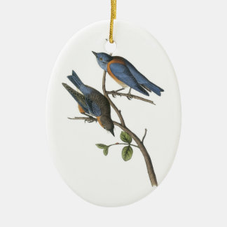 Adorno De Cerámica Aluminio azul occidental de Audubon