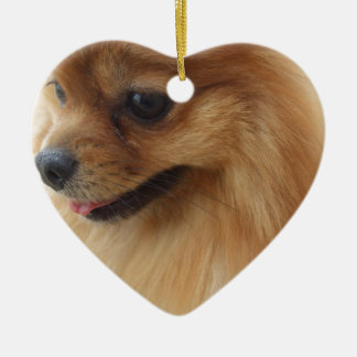 Adorno De Cerámica Amante de Pomeranian