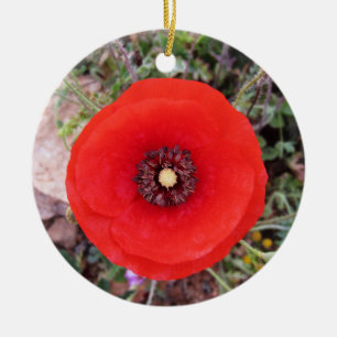 Adorno De Cerámica Amapola silvestre