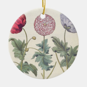 Adorno De Cerámica Amapolas: rubicundis múltiplexes de los albumoris