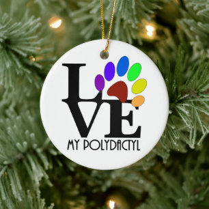 Adorno De Cerámica AMAR mi polidáctilo