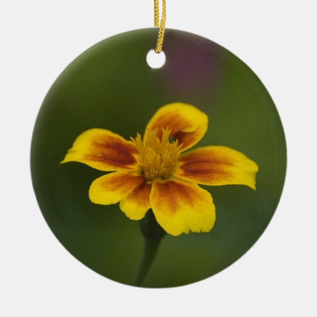 Adorno De Cerámica amarillo sobre azul y amarillo sobre verde (Frente)