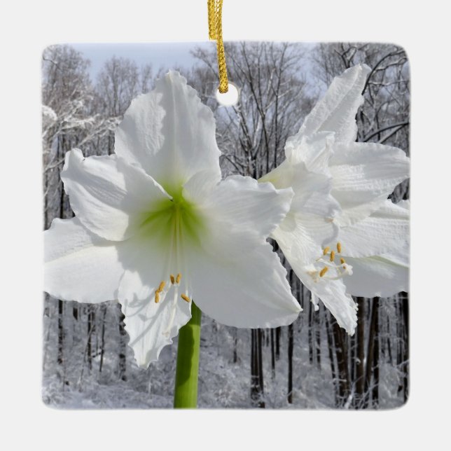Adorno De Cerámica Amaryllis blanca y nieve I (Anverso)