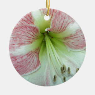 Adorno De Cerámica Amaryllis Flor de Manzana Abierta