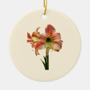 Adorno De Cerámica Amaryllis Manzana Flor de Flor