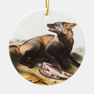 Adorno De Cerámica American Cross Fox (Canis vulpes) Illustration