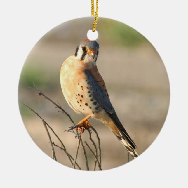 Adorno De Cerámica Americano Kestel (Frente)