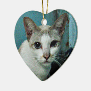 Adorno De Cerámica Amigo del gato siamés