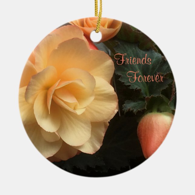 Adorno De Cerámica Amigos para siempre (Frente)