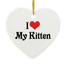 Amo a mi gatito