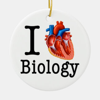 Adorno De Cerámica Amo biología