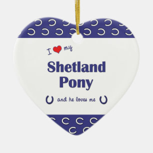 Adorno De Cerámica Amo mi potro de Shetland (el potro masculino)