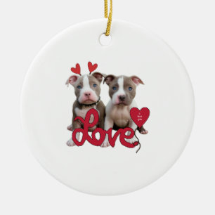 Adorno De Cerámica Amor de pit bull