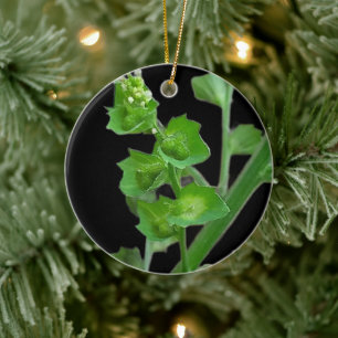 ADORNO DE CERÁMICA AMOR POR LA NATURALEZA REGALO NATURAL