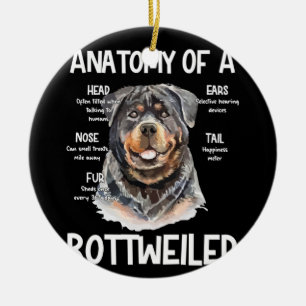 Adorno De Cerámica Anatomía De Un Rottweiler Para Los Amantes Del Per