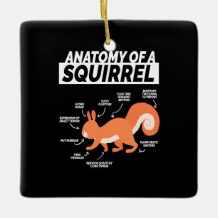 Adorno De Cerámica Anatomía De Una Ardilla