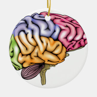 Adorno De Cerámica Anatomía del cerebro humano seccionada