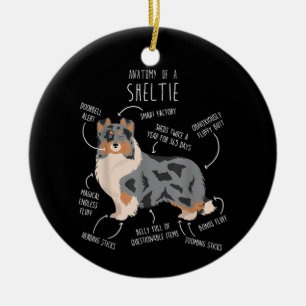 Adorno De Cerámica Anatomía del Shetland Sheepdog Blue Merle Sheltie,