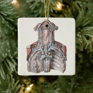 Adorno De Cerámica Anatomía humana antigua de garganta, cuello, pecho