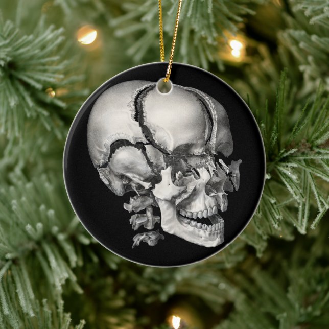 Adorno De Cerámica Anatomía humana de la ciencia de la cosecha, cráne (Árbol)