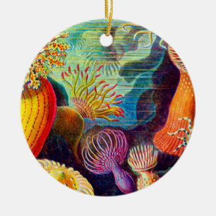 Adorno De Cerámica Anemona marina - Ernst Haeckel