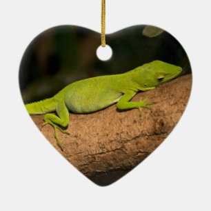Adorno De Cerámica Anguila gigante jamaicana