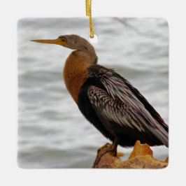 Adorno De Cerámica Anhinga Al Acecho