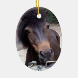 Adorno De Cerámica Animal, caballo, Pony