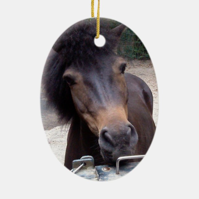 Adorno De Cerámica Animal, caballo, Pony (Atrás)