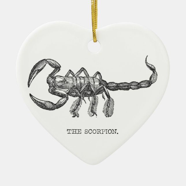 Adorno De Cerámica Animales espeluznantes regalo de animales aterrado (Frente)