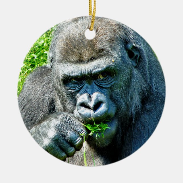 ADORNO DE CERÁMICA ANIMALES SALVAJES - GORILLAS (Frente)