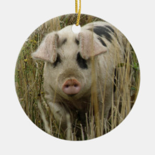 Adorno De Cerámica Aniversario del Personalizado de Cerdo Cute
