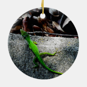 Adorno De Cerámica Anolis 6704
