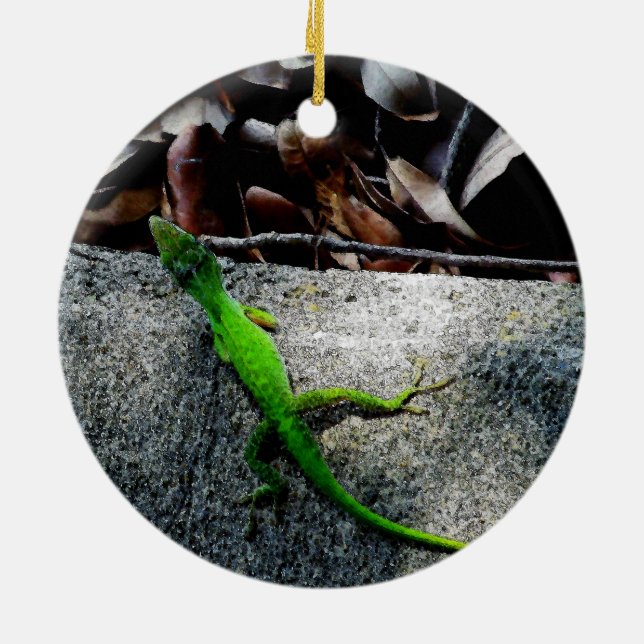Adorno De Cerámica Anolis 6704  (Atrás)
