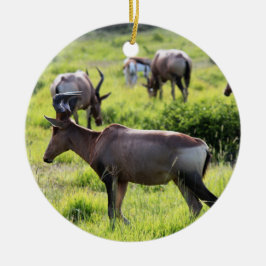 Adorno De Cerámica Antílope africano en safari en Suráfrica