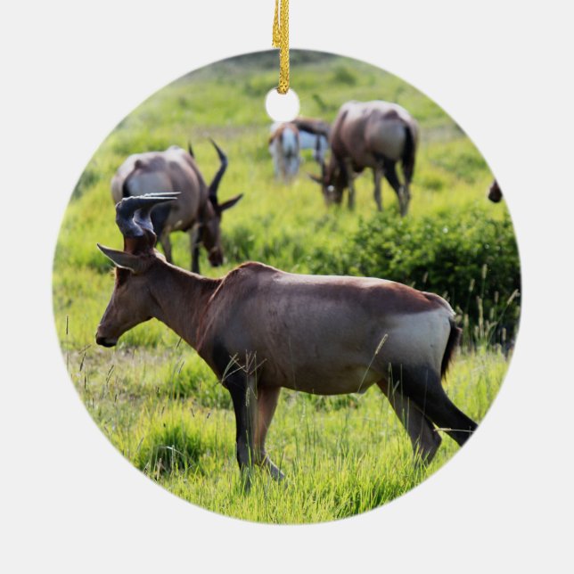 Adorno De Cerámica Antílope africano en safari en Suráfrica (Atrás)