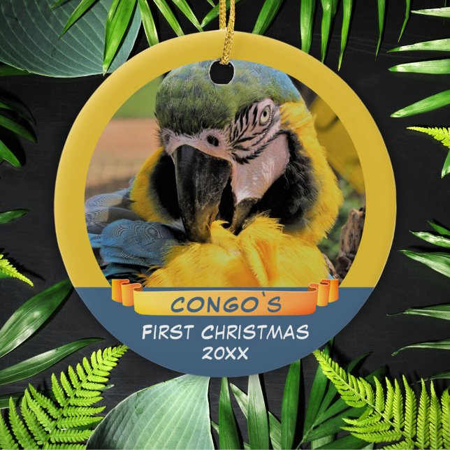 Adorno De Cerámica Ara Parrot Mascota 1ª Navidades Cinta Foto Cerámic (Subido por el creador)