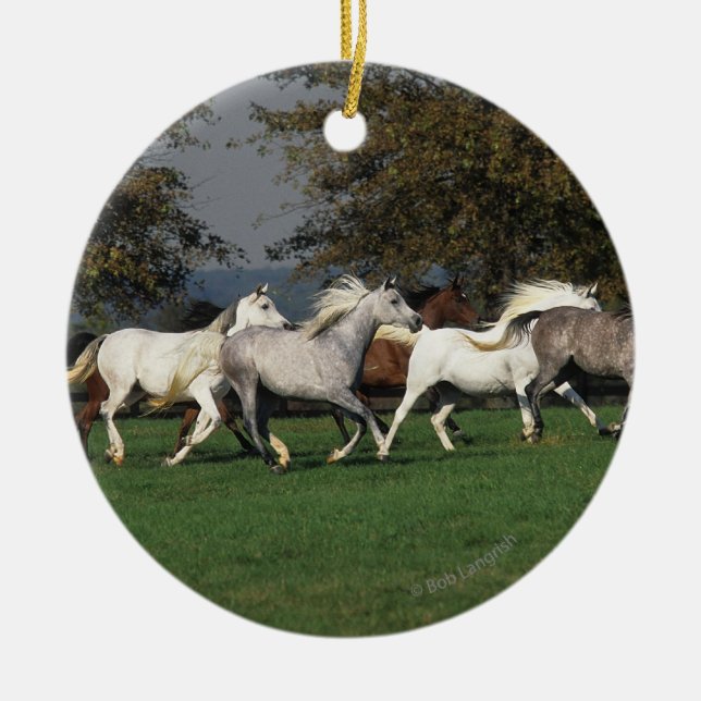 Adorno De Cerámica Árabes que corren en campo (Frente)