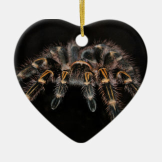 Adorno De Cerámica Arachnoid melenudo de la araña grande del