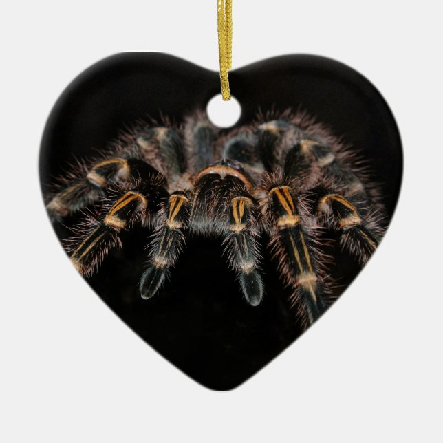 Adorno De Cerámica Arachnoid melenudo de la araña grande del (Frente)