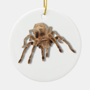 Adorno De Cerámica Araña del Tarantula