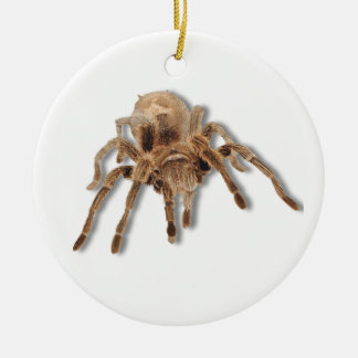 Adorno De Cerámica Araña del Tarantula